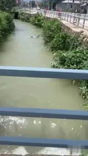 谁吧女朋友抛弃了？