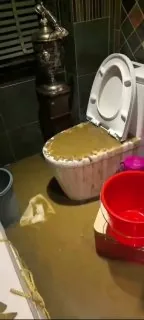 屎漫金山 窝尼玛厕所爆炸了 #屎